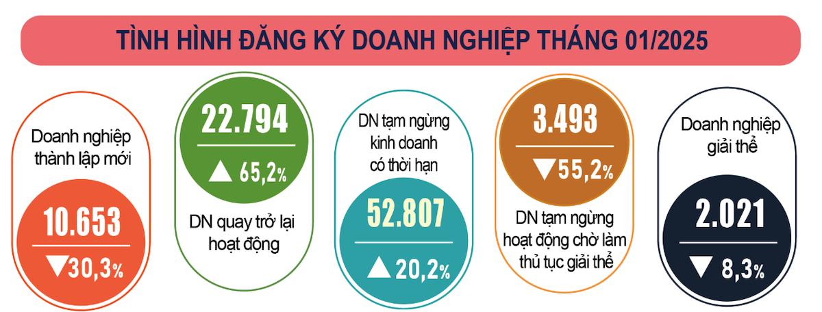 Tình hình đăng ký doanh nghiệp tháng 1/2025.
