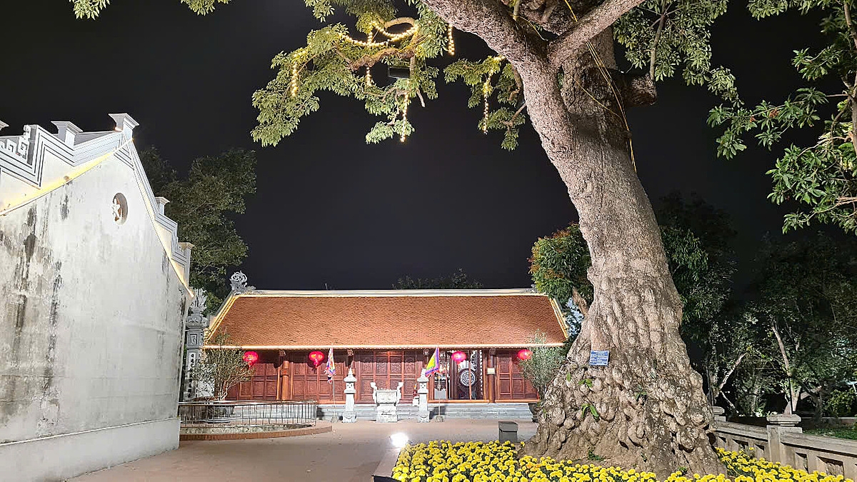 Một trong những cây quí có niên đại trên 500 năm trước đền thờ Mẫu mới được xây dựng lại.