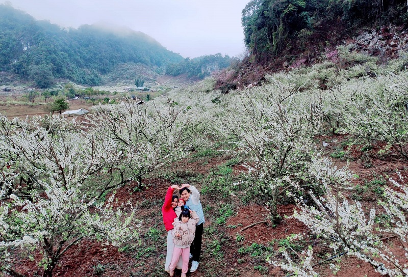 Khoảnh khắc một gia đình check in cùng hoa mận, bất chấp trời rét.