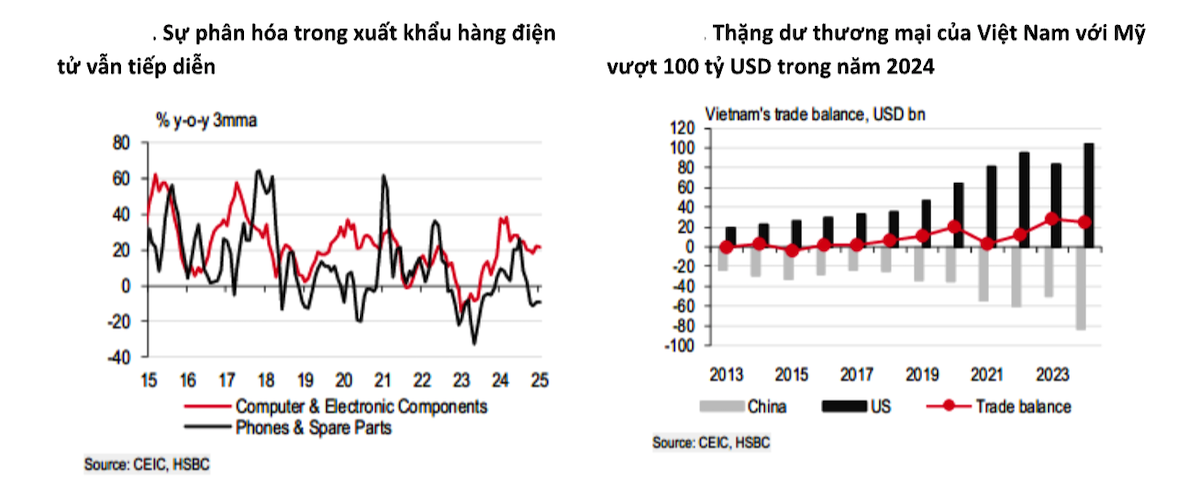 Việt Nam là quốc gia đối diện với rủi ro thuế quan cao nhất trong ASEAN do có thặng dư thương mại lớn với Mỹ.