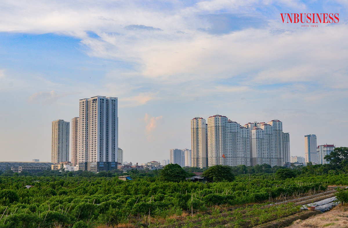 Giá nhà leo thang trong khi ưu đãi vay mua nhà quá ngắn khiến người mua nhà ngày càng vô vọng.