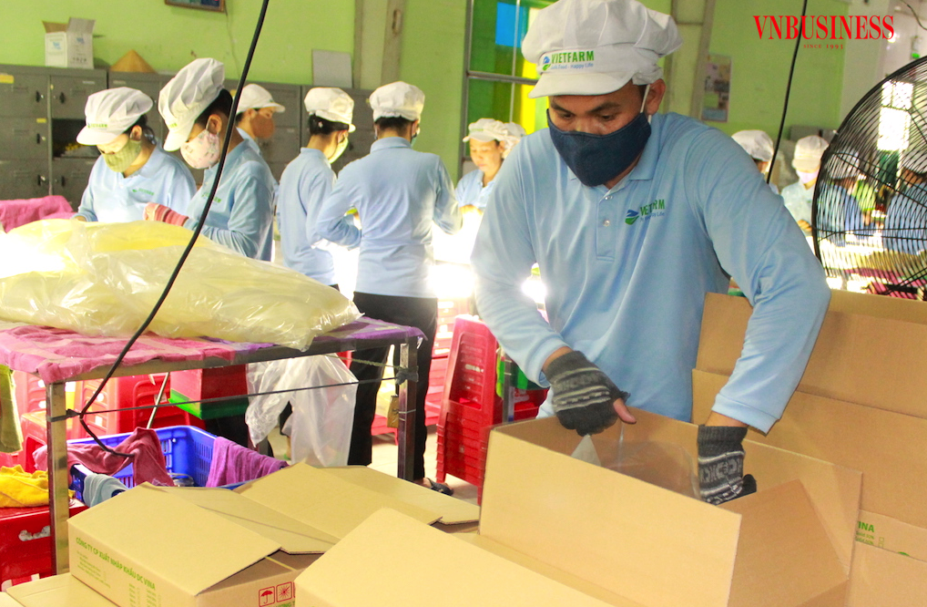 Các DN chế biến nông sản xuất khẩu cần thấy và tận dụng được cơ hội trong nguy nan giữa nhiều yếu tố bất định như hiện nay.