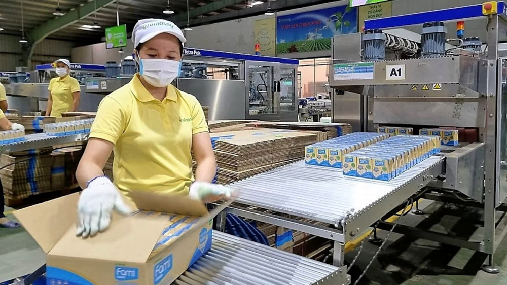 Phó Chủ tịch HĐQT Đường Quảng Ngãi liên tục ‘gom’ cổ phiếu QNS.