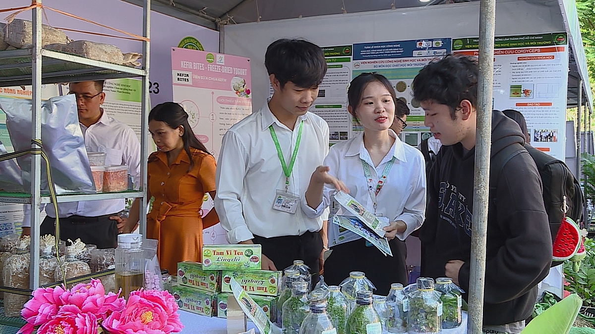 Mỗi địa phương đều có những lợi thế nhất định cho người trẻ khởi nghiệp nông nghiệp thông qua mô hình kinh tế tập thể, HTX.