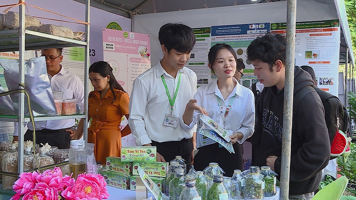 Mỗi địa phương đều có những lợi thế nhất định cho người trẻ khởi nghiệp nông nghiệp thông qua mô hình kinh tế tập thể, HTX.