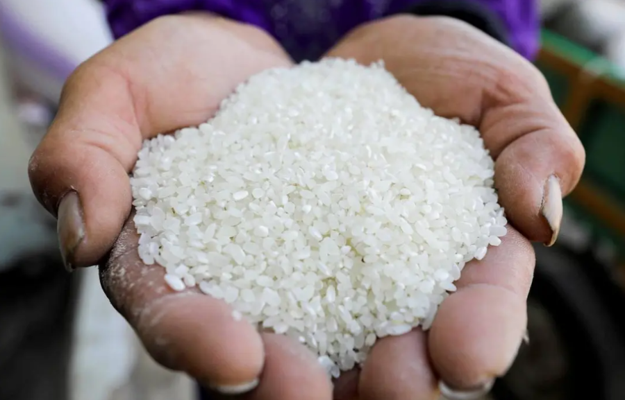 Sự cạnh tranh từ gạo tấm Ấn Độ có thể khiến giá gạo Việt tiếp tục chịu áp lực giảm.