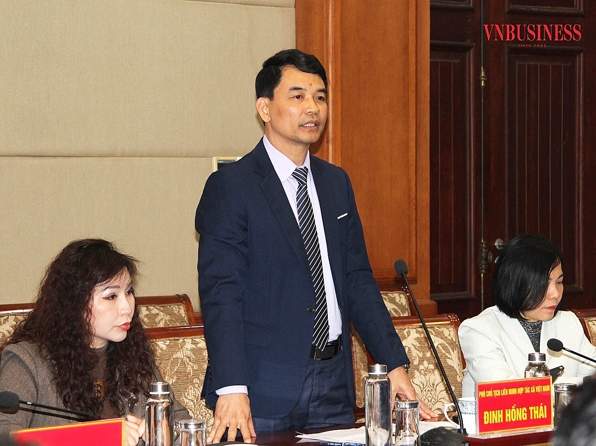 Phó Chủ tịch Liên minh HTX Việt Nam Đinh Hồng Thái phát biểu tại buổi làm việc.