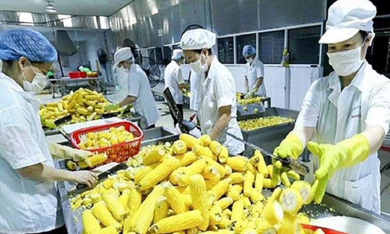 2 tháng đầu năm 2025, EU phát đi 624 cảnh báo, trong đó, Việt Nam có 16 cảnh báo, chiếm 2,6%.