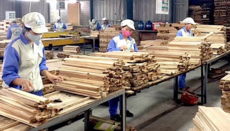 Ngày 20/2 vừa qua, Tổng thống Mỹ Donald Trump thông báo sẽ bổ sung gỗ và các sản phẩm lâm nghiệp vào danh mục bị áp thuế nhập khẩu, dự kiến trong tháng tới hoặc có thể sớm hơn.