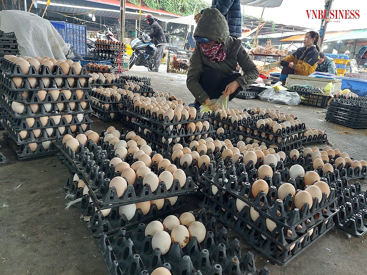 Sáng ngày 25/2 trứng gà bán tại chợ đầu mối An Đồng - An Dương Hải Phòng chỉ 18.000đồng/chục.
