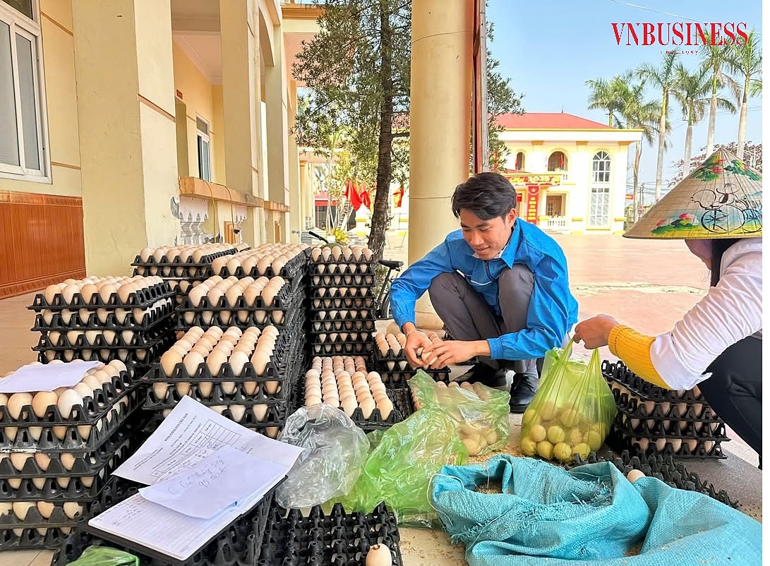 Một số cơ quan tại huyện Tiên Lãng như Huyện đoàn, Liên đoàn lao động huyện đang tổ chức giải cứu trứng giúp người chăn nuôi trong huyện.