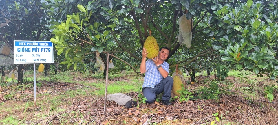 Nông sản, hàng hóa của HTX Phước Thiện tiêu thụ khá thuận lợi trên chợ trực tuyến.