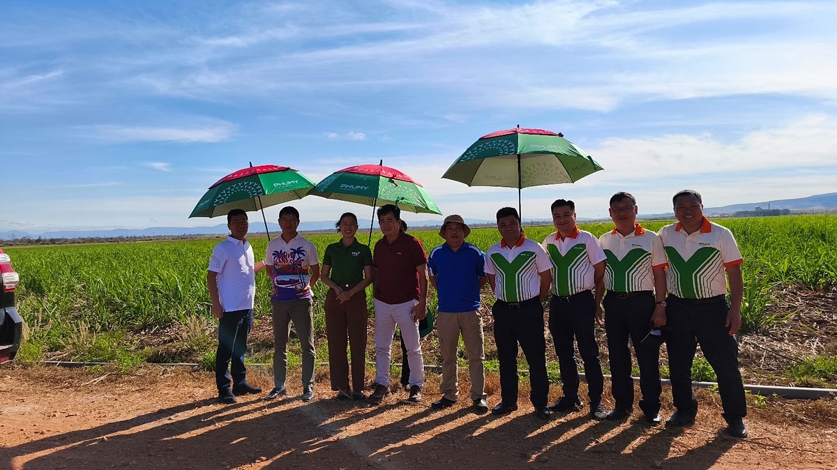 Phú Mỹ gặp gỡ, trao đổi với các đối tác bên Lào.