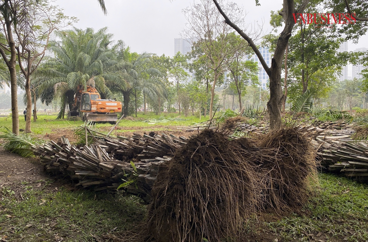 Theo Ban Quản lý Dự án Đầu tư Xây dựng quận Cầu Giấy, sau khi hoàn tất, Công viên Cầu Giấy sẽ không chỉ là địa điểm vui chơi lý tưởng mà còn đóng vai trò quan trọng như lá phổi xanh của khu vực, góp phần thanh lọc không khí, cải thiện môi trường sống.