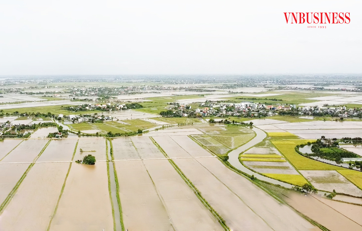 Sản xuất lớn là điểm tựa giúp nông dân Thái Bình thoát nghèo, làm giàu.