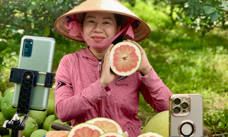 Nhiều thách thức cho HTX livestream bán hàng thực phẩm tươi sống