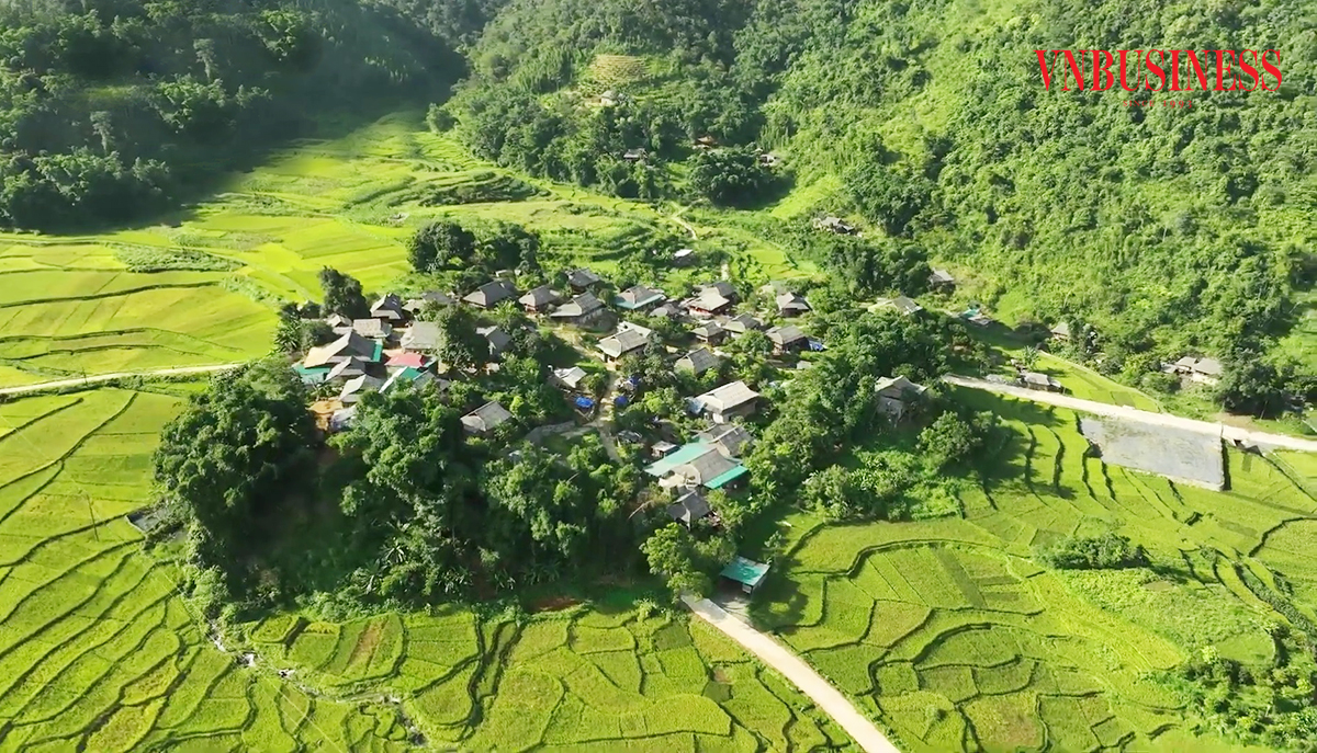 Với sự hỗ trợ của địa phương, cùng sự đồng hành của Liên minh HTX Việt Nam, Liên minh HTX tỉnh Hòa Bình, sản xuất kinh doanh vùng đồng bào dân tộc thiểu số miền núi Hòa Bình ngày càng khởi sắc.