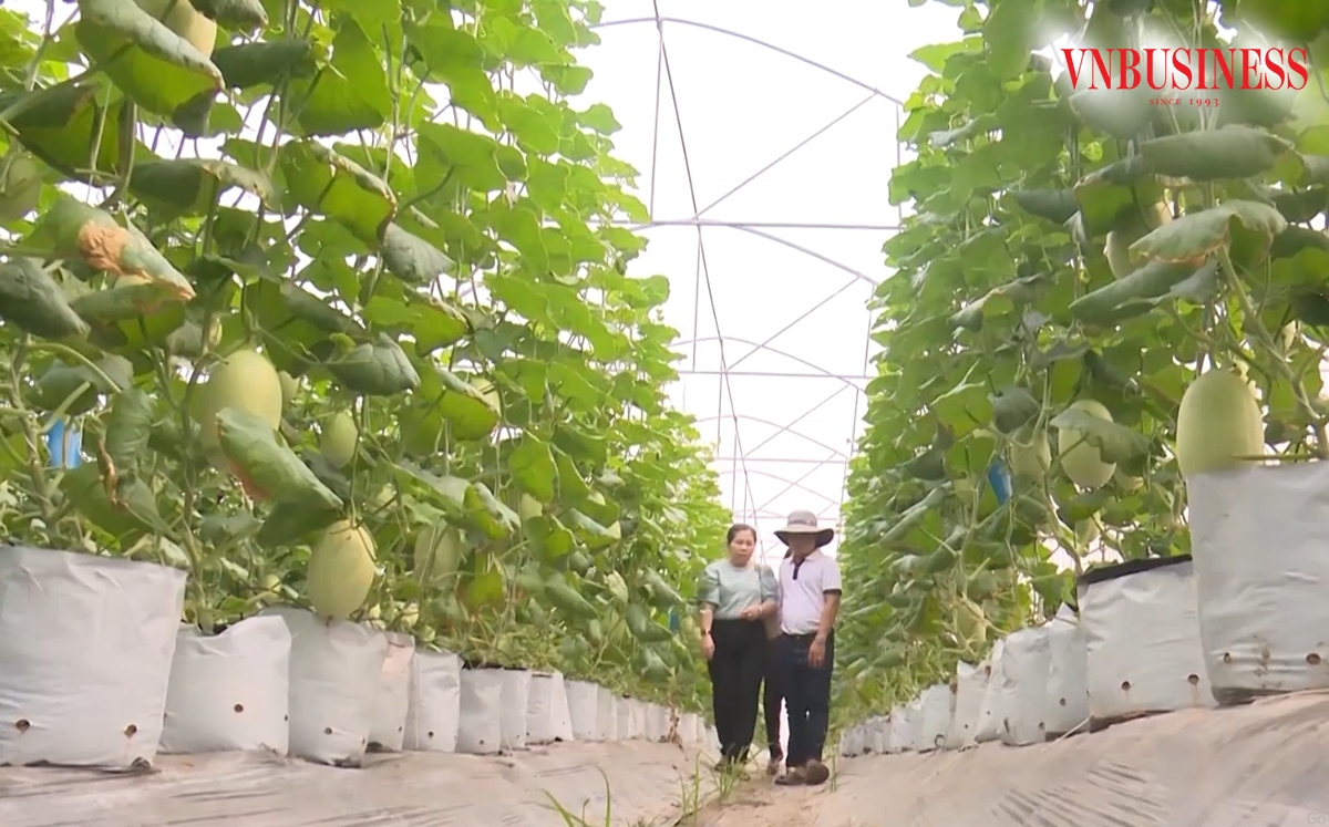 Sản xuất theo hướng công nghệ cao là chìa khóa giúp nông dân Bình Dương làm giàu.