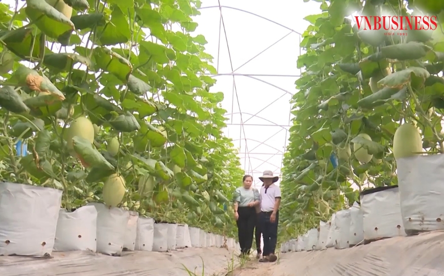 Sản xuất theo hướng công nghệ cao là chìa khóa giúp nông dân Bình Dương làm giàu.