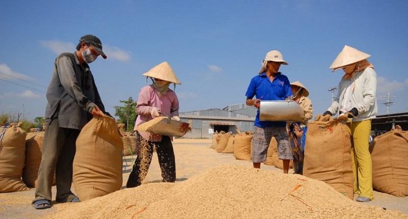 Thủ tướng Chính phủ chỉ đạo theo dõi sát diễn biến thị trường, cập nhật kịp thời chính sách từ các quốc gia xuất khẩu và giám sát hoạt động thu mua, xuất khẩu lúa gạo nhằm đảm bảo thị trường minh bạch, ổn định.