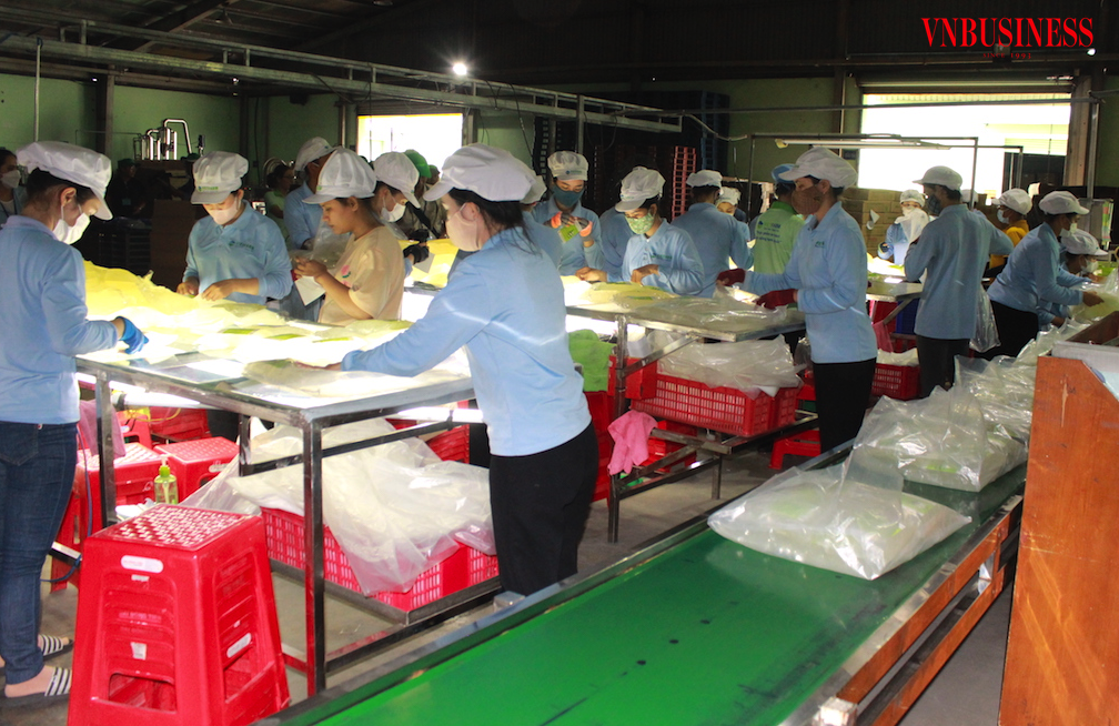 Các DN thực phẩm đang “đứng ngồi không yên” trước những quy định có thể tạo gánh nặng khổng lồ trong dự thảo nghị định mới về an toàn thực phẩm.