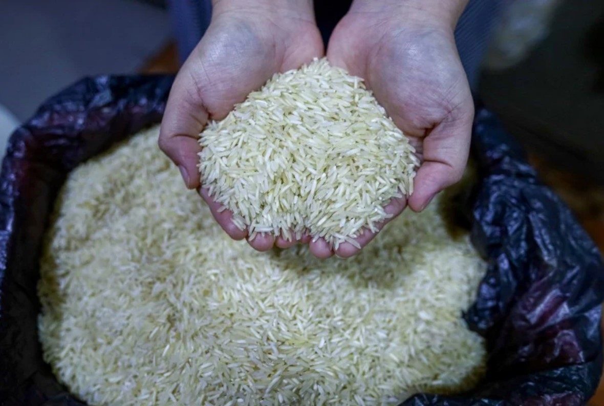 Thái Lan tìm kiếm liên minh Ấn Độ và Việt Nam để ổn định giá gạo.