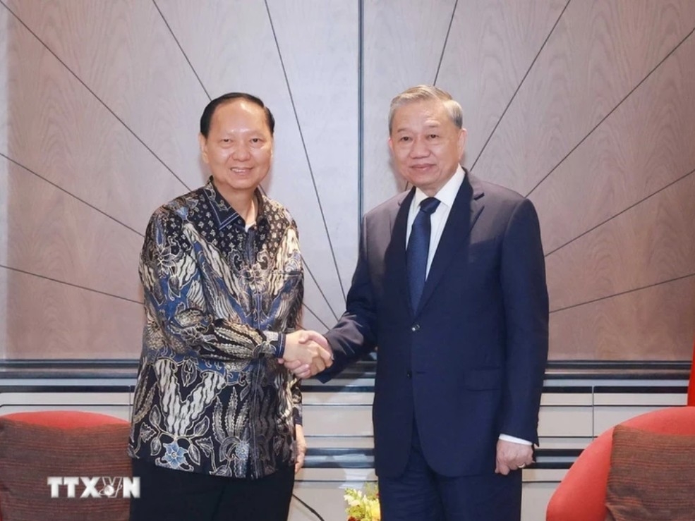 Tổng Bí thư Tô Lâm tiếp ông Oey Alfred, giám đốc Tập đoàn Sungai Budi - Ảnh: TTXVN