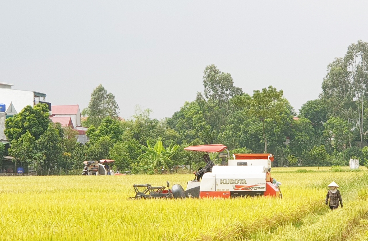 Ứng dụng khoa học kỹ thuật mới giúp nông dân nâng cao giá trị sản xuất.