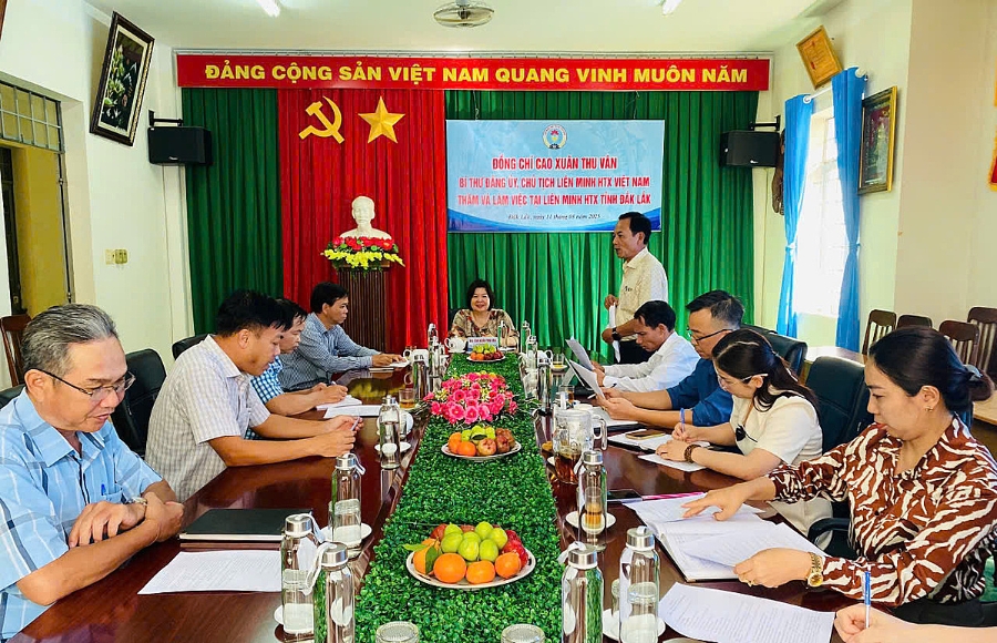 Kinh tế tập thể Đắk Lắk đang phát triển cả về số lượng và chất lượng.