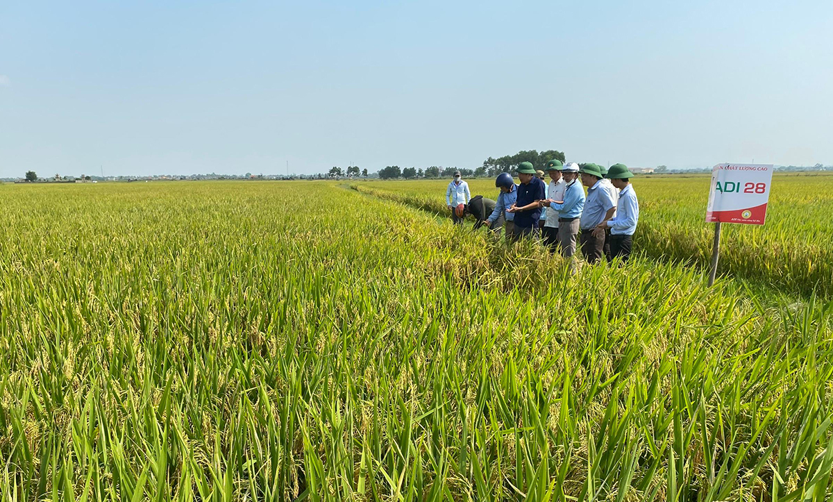 Ứng dụng khoa học kỹ thuật giúp HTX, nông dân tăng giá trị sản xuất.