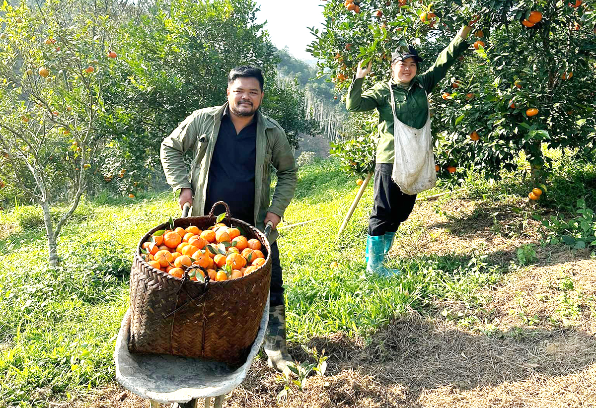 Việc các chàng trai, cô gái người Tày, người Dao ở Bắc Kạn livestream bán hàng đã không còn xa lạ.