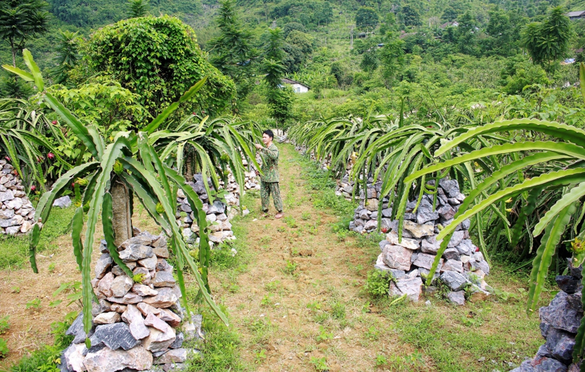 Phong trào khởi nghiệp đang lan rộng ở Cao Bằng.