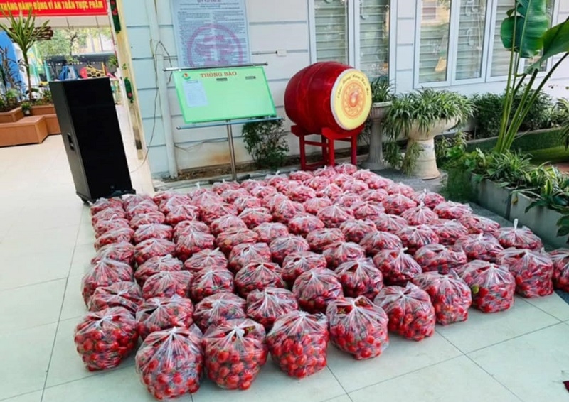 Nguồn cung dư thừa, nhiều địa phương trồng cà chua phải nhờ cộng đồng mạng giải cứu