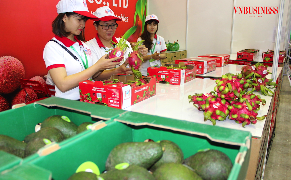 Tính đồng thuận trong hợp tác sẽ giúp nông dân thoát cảnh “được mùa mất giá” và hưởng lợi thực chất từ hàng tỷ USD xuất khẩu rau quả.