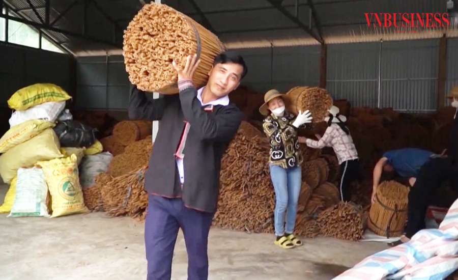 Đổi mới sản xuất giúp đồng bào dân tộc thiểu số ở Bảo Yên thoát nghèo, làm giàu.