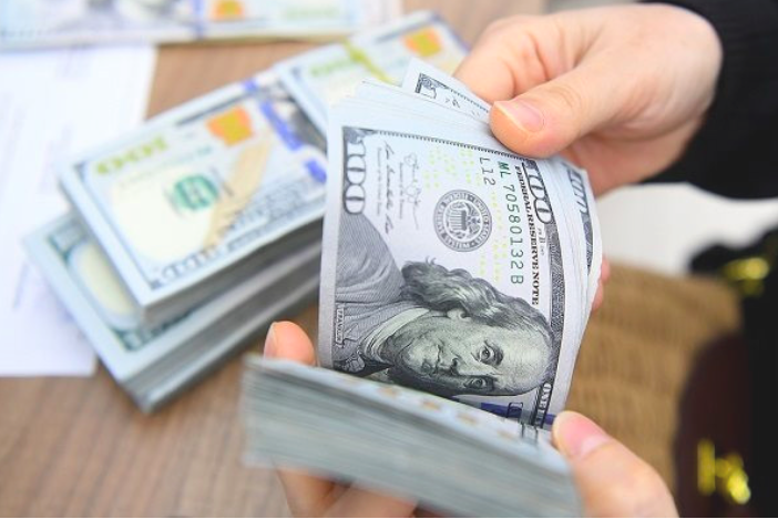 Dự báo tỷ giá năm nay sẽ chỉ tăng khoảng 3%, trong khi năm 2024 là gần 5%.