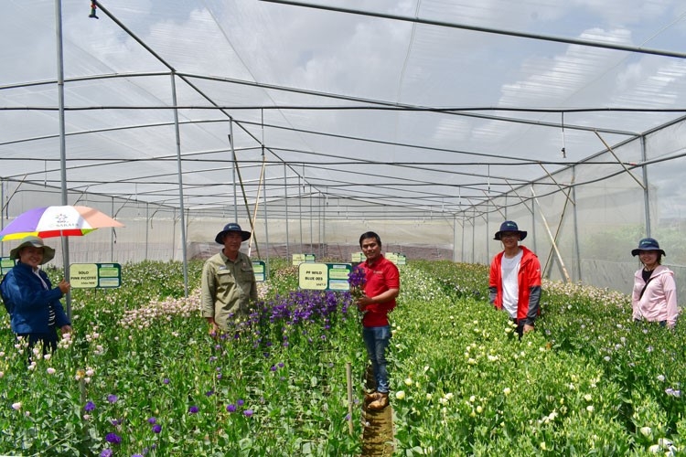 Đất đai là một trong những nguồn đầu tư lớn đối với nông dân, HTX.