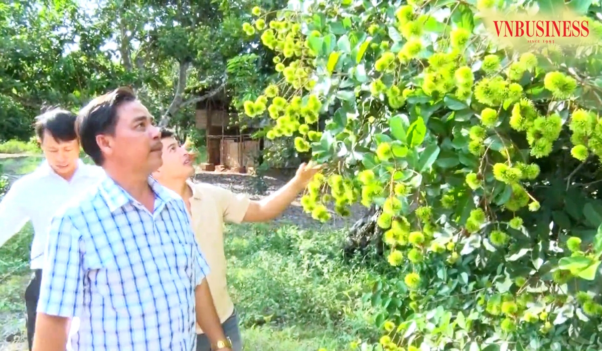 Làm nông nghiệp kết hợp du lịch sinh thái đang giúp HTX, nông dân ở Long Khánh giàu lên.