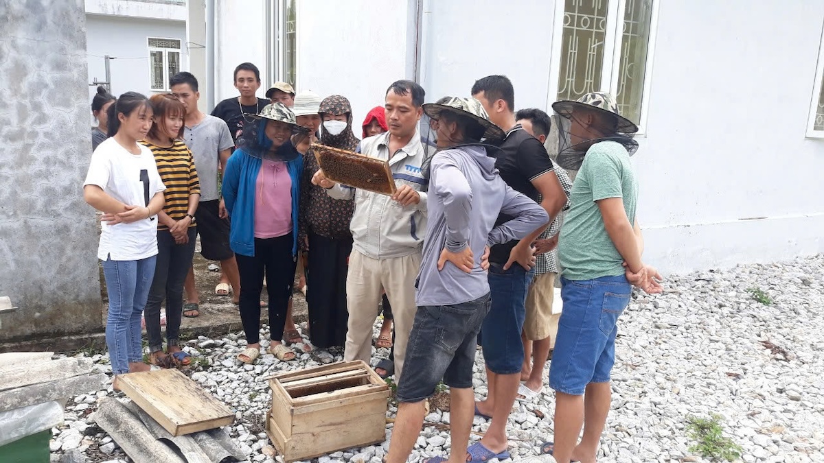 Học viên lớp dạy nghề nuôi ong lấy mật ở xã Nậm Hàng tham quan thực tế mô hình trên địa bàn xã.