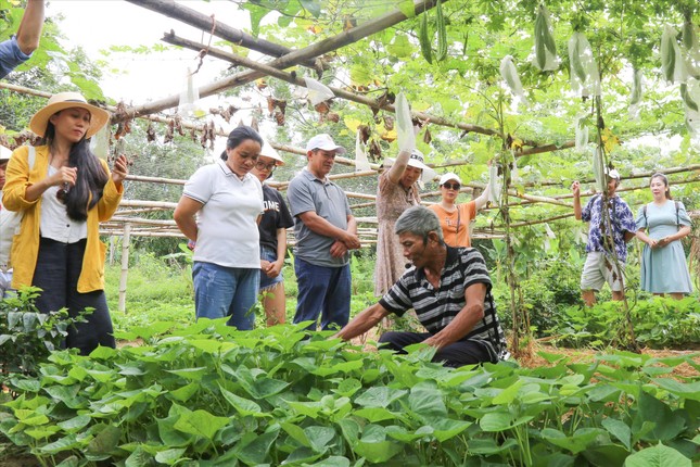 Sự độc đáo của mô hình du lịch nhiều khi nằm ở nhừng điều gần gũi, giản đơn.