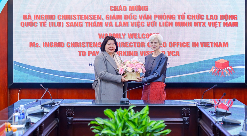 Hợp tác giữa VCA và ILO luôn được coi trọng.