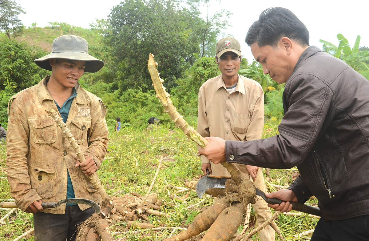 Nhiều chương trình hỗ trợ đang được triển khai nhằm hỗ trợ đồng bào dân tộc thiểu số ở Quảng Trị nâng cao giá trị sản xuất.