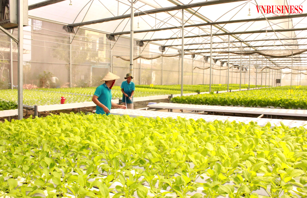 Tổng bí thư Tô Lâm chỉ đạo phải có chính sách riêng trong việc hỗ trợ DN nhỏ và vừa phát triển và phát triển mô hình HTX kiểu mới, hiệu quả.