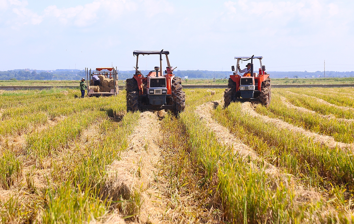 Ngành nông nghiệp Bà Rịa - Vũng Tàu định hướng phát triển theo hướng hiện đại để làm giàu cho HTX, nông dân &lpar;Ảnh: Mạnh Quân&rpar;.