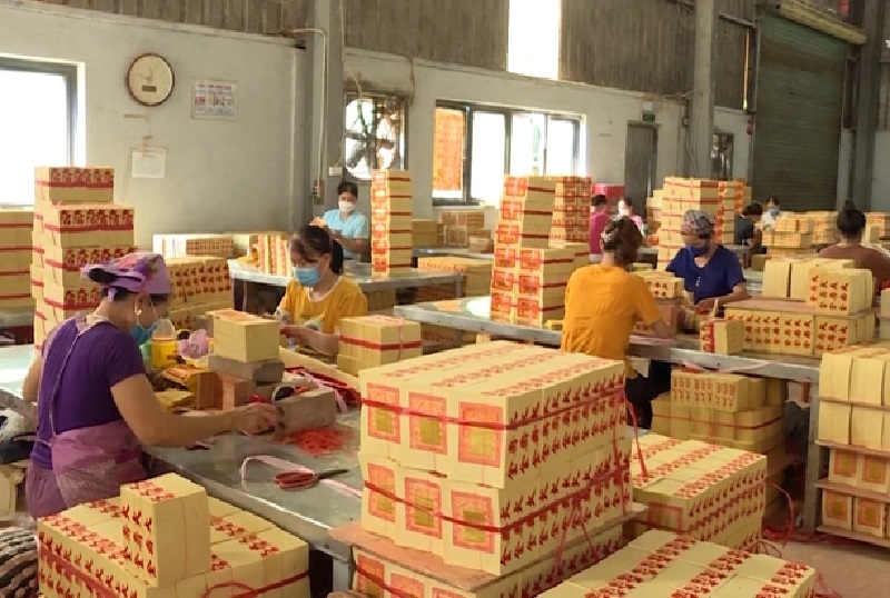 Sản xuất vàng mã từ cây luồng.