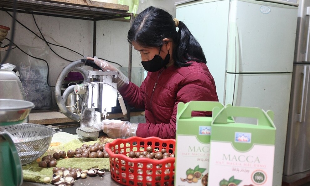 HTX dịch vụ vận tải Ba Sơn đầu tư cho chế biến sâu nông sản.