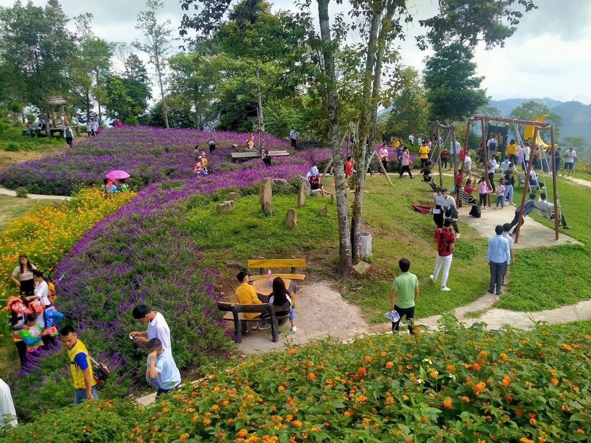 Qua bàn tay, khối óc của những người nông dân, đồi hoang đã trở thành khu du lịch sinh thái thu hút du khách tham quan, trải nghiệm, lưu giữ hình ảnh.