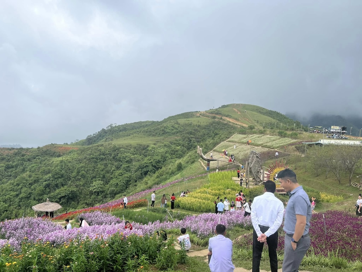 Sau hơn một năm đầu tư tâm huyết, thử nghiệm, Pha Đin Pass đã cho “trái ngọt” với hàng trăm lượt khách ghé thăm mỗi ngày.