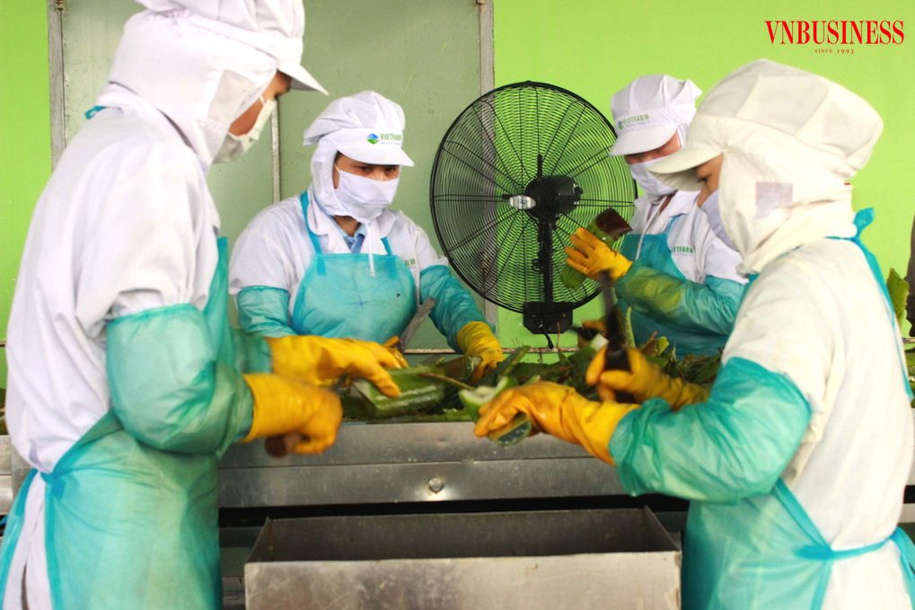 Các DN nhỏ và vừa trong ngành nông sản thực phẩm cần tự nâng cấp để vượt qua các rào cản khắt khe từ thị trường nhập khẩu.