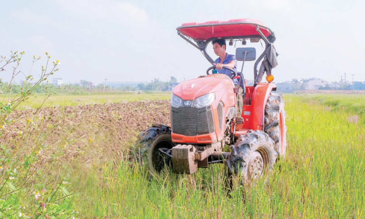 Sản xuất theo hướng an toàn, ứng dụng kỹ thuật mới là chìa khóa giúp nông dân Thái Bình làm giàu &lpar;Ảnh: BTB&rpar;.